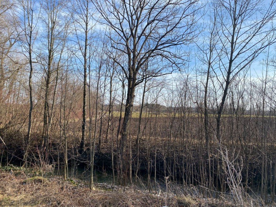Ausblick Villa Puchheim
