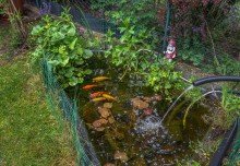 Teich Sch�ne 1,5 Zimmer-Gartenwohnung in zentraler Lage von Germering